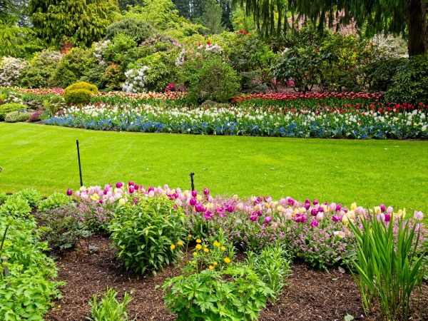 Residential Landscape Design