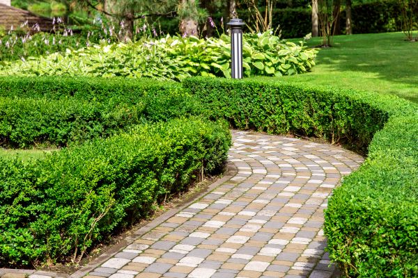 Paved Landscaping in Maryville